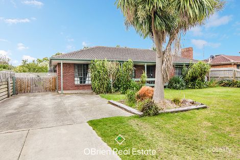 Property photo of 11 Pearce Court Pearcedale VIC 3912