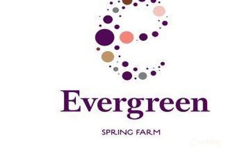 Property photo of LOT 336 Derbyshire Road Spring Farm NSW 2570