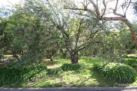 Property photo of 16 The Greenway Heathmont VIC 3135