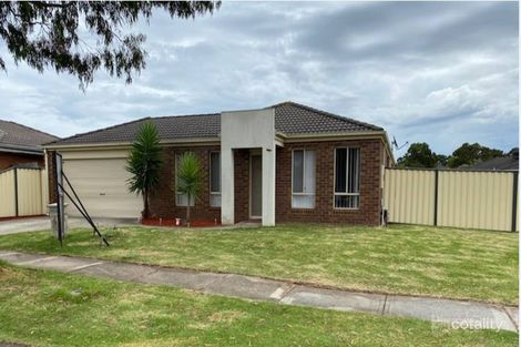11 Wattlebird Ct, Narre Warren, VIC 3805