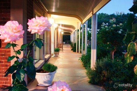 Property photo of 97 Kibby Road Loxton SA 5333