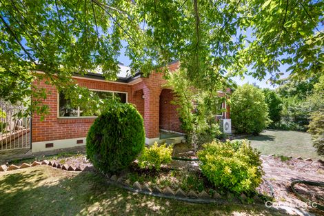 Property photo of 143 Anson Street Orange NSW 2800