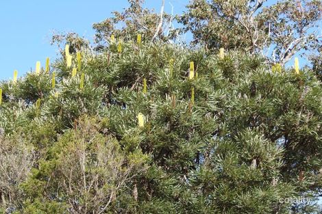 287 Chambers Rd, Carbunup River, WA 6280