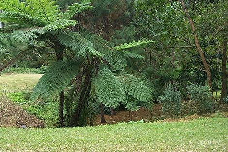 38 Long Rd, Tamborine Mountain, QLD 4272