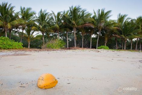 2869 Bloomfield Rd, Bloomfield, QLD 4895