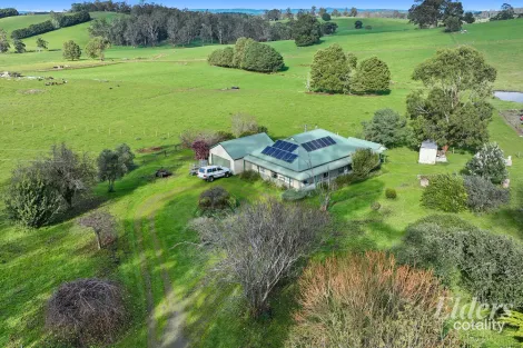86 Mcdougal Rd, Neerim South, VIC 3831