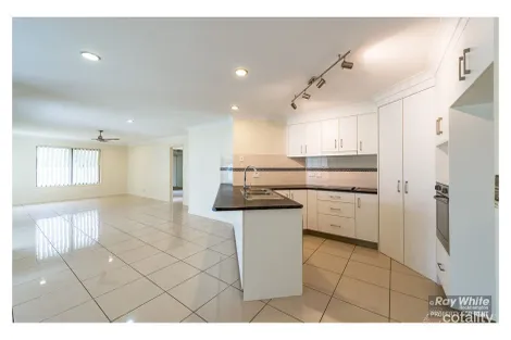 Property photo of 17 Laird Avenue Norman Gardens QLD 4701