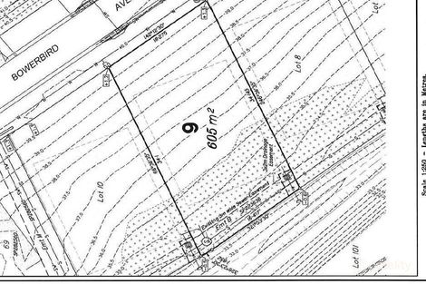 Property photo of 9 Bowerbird Avenue Burnside QLD 4560