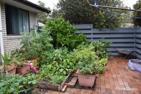 Property photo of 72 Dexter Street Cook ACT 2614