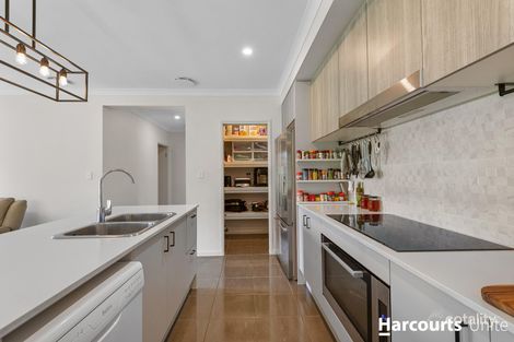 Property photo of 30 Logrunner Drive Upper Caboolture QLD 4510