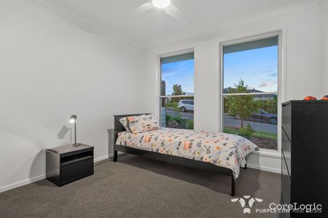 Property photo of 29 Jersey Crescent Springfield Lakes QLD 4300