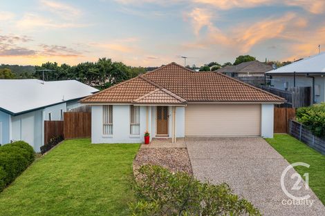 Property photo of 53 Harding Street Raceview QLD 4305