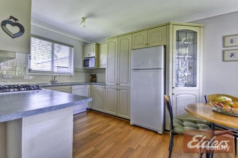 Property photo of 47 Greenmeadows Crescent Toongabbie NSW 2146