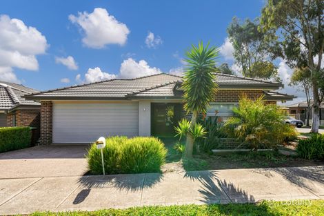Property photo of 23 Hackney Circuit Clyde North VIC 3978