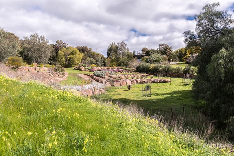 Property photo of 8 Cunningham Street Shelford VIC 3329