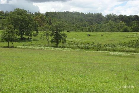 Property photo of 10948 Clarence Way Tabulam NSW 2469