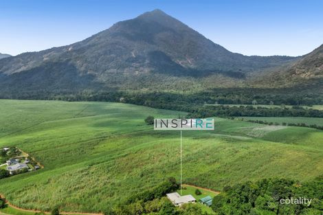 Property photo of 167 Gillies Range Road Gordonvale QLD 4865