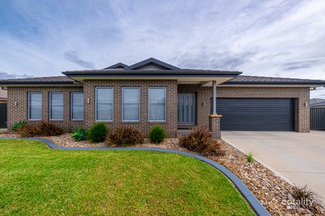 Property photo of 24 Eagle Avenue Calala NSW 2340
