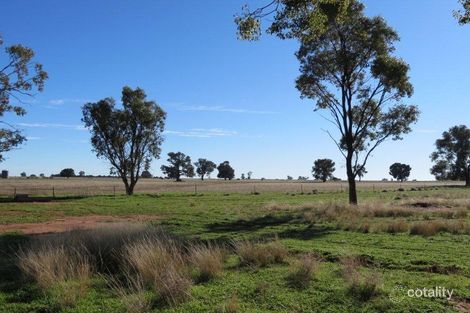 Property photo of 559L Cobboco Road Burroway NSW 2821