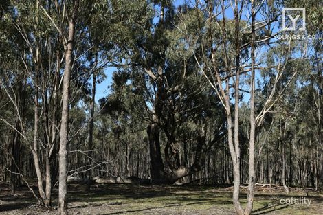 310 Woolshed Rd, Murchison, VIC 3610