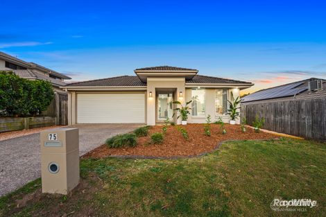 75 Steelwood St, Heathwood, QLD 4110