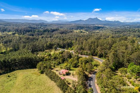 Property photo of 4004 Kyogle Road Mount Burrell NSW 2484