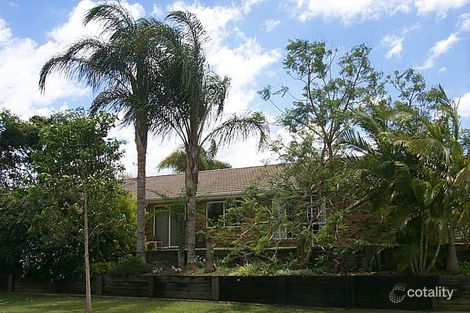 Property photo of 41 Casuarina Crescent Calamvale QLD 4116