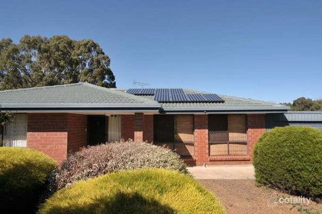 Property photo of 49 Eva Street Williamstown SA 5351