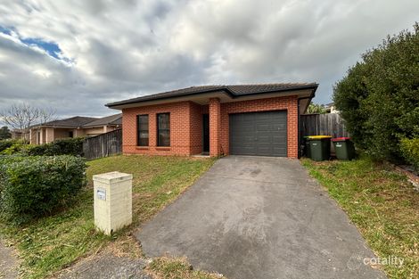 8 Carruthers St, Minto, NSW 2566