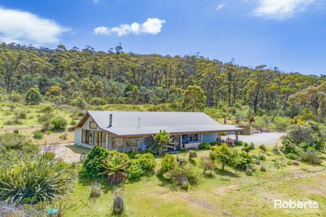 Property photo of 21053 Tasman Highway Chain Of Lagoons TAS 7215