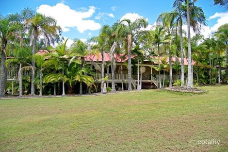 Property photo of 3 Tipuana Drive Capalaba QLD 4157