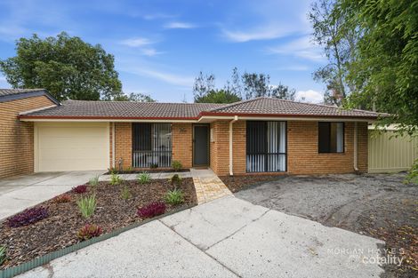 14/79 Barbican St E, Shelley, WA 6148