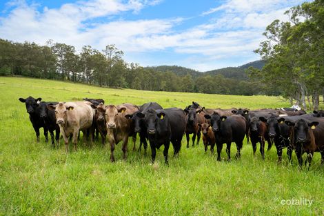 103 Gap Hill Rd, Stroud Road, NSW 2415