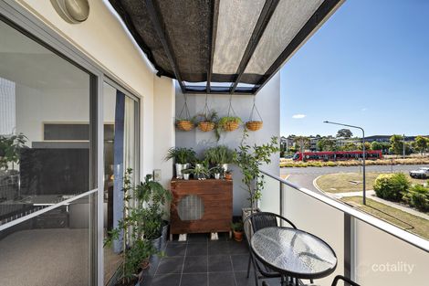 Property photo of 36/2 Sapling Street Harrison ACT 2914