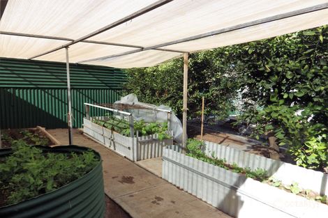 Property photo of 50 Gordon Street Whyalla Norrie SA 5608