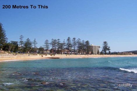 Property photo of 4/115 Oaks Avenue Dee Why NSW 2099