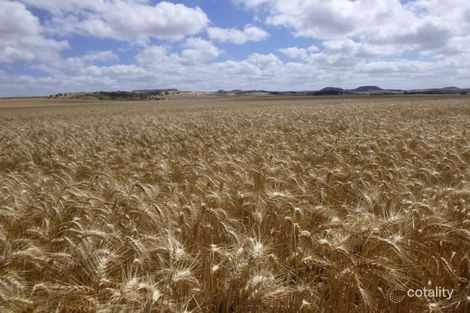 423 Starling Rd, Bowes, WA 6535