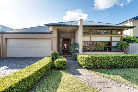Property photo of 43A Fife Avenue Torrens Park SA 5062