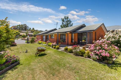 Property photo of 81 Broad Parade Spring Gully VIC 3550