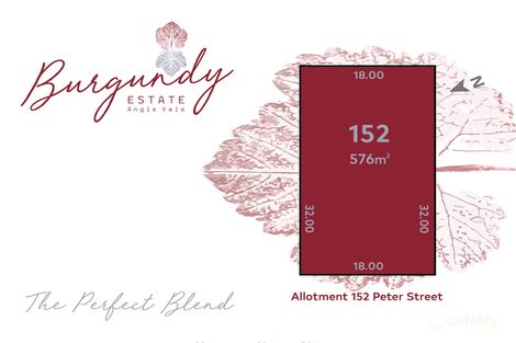 Property photo of 19 Peter Street Angle Vale SA 5117