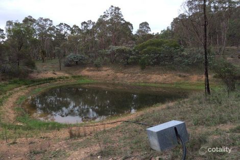 Property photo of 46 Tabulum Road Invergowrie NSW 2350