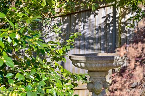 Property photo of 49 Darley Street Katoomba NSW 2780