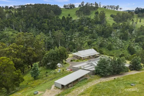 350 Wild Dog Rd, Strzelecki, VIC 3950