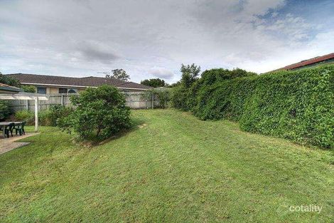 Property photo of 1 Mackay Court Sunnybank QLD 4109