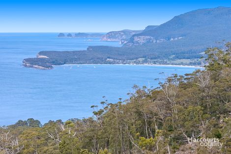 4860 Arthur Hwy, Eaglehawk Neck, TAS 7179