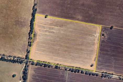 Property photo of 151 Briggs Road Norong VIC 3682
