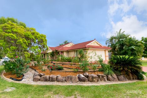 Property photo of 3 Peppertree Street Warner QLD 4500