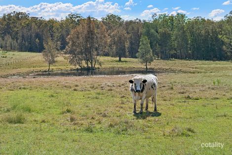 Property photo of 1131 Minimbah Road Minimbah NSW 2312