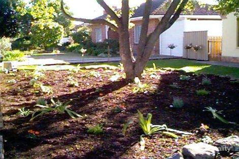 Property photo of 15 Pine Avenue Warradale SA 5046