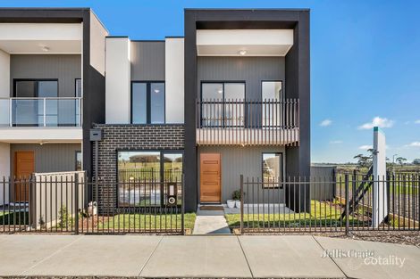 29 Raptor Lane, Winter Valley, VIC 3358